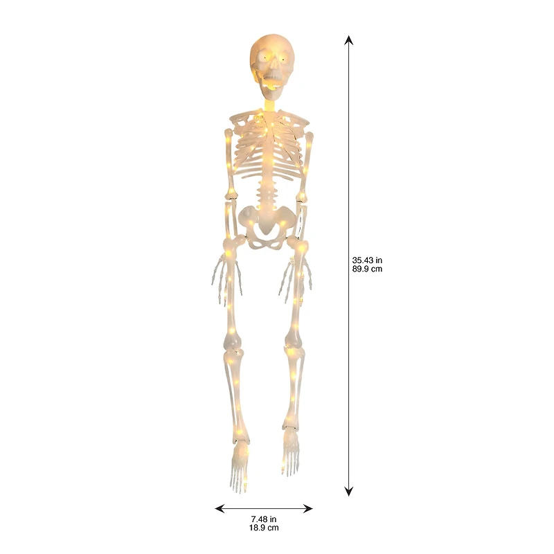 35" Warm White LED Skeleton by Ashland®