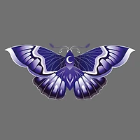 4" x 4" Moths Canvas Painting Kit by Craft Smart®