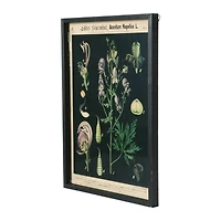 Hello Honey® 22" Botanical Wall Prints in Wooden Frame Set