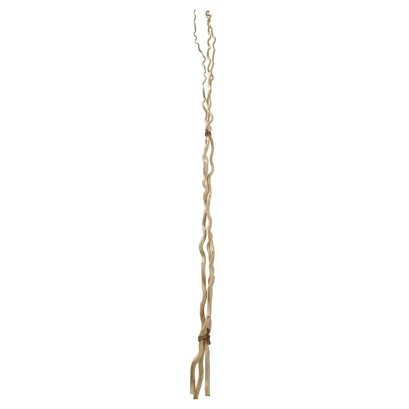 6 Pack: Cream Curly Willow Branch Bundle by Ashland®