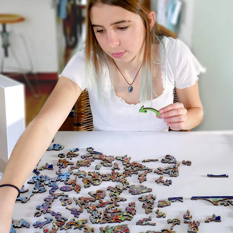 Retro Series Wooden Puzzle