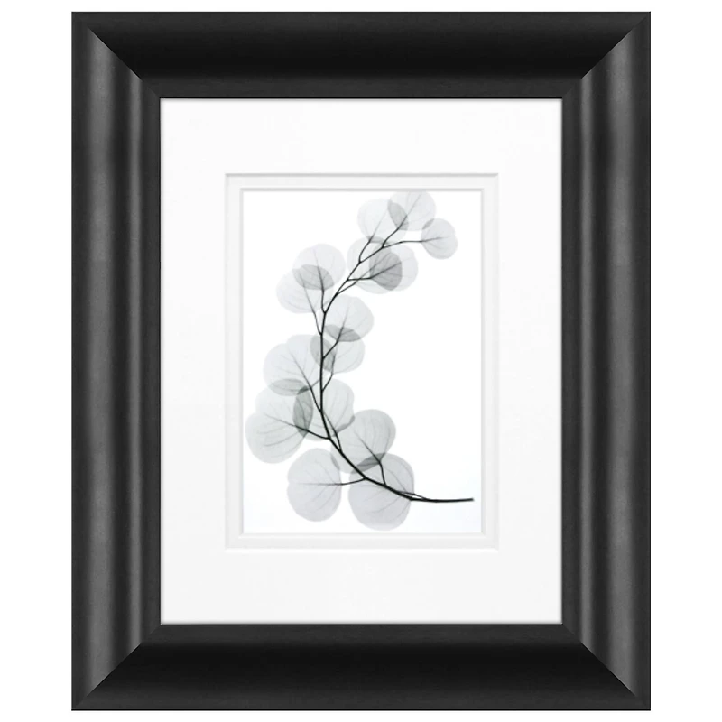 Timeless Frames® Eucalyptus Framed Wall Décor