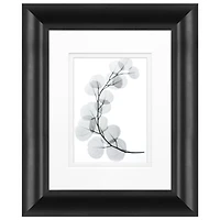 Timeless Frames® Eucalyptus Framed Wall Décor