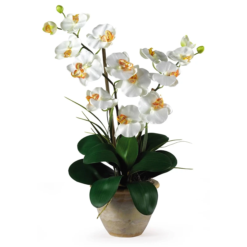 25" Double Phalaenopsis Silk Orchid Flower Arrangement in Ceramic Pot