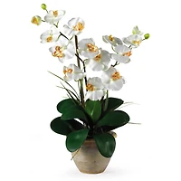 25" Double Phalaenopsis Silk Orchid Flower Arrangement in Ceramic Pot