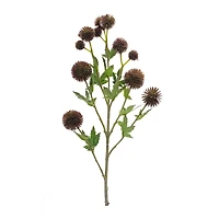 Tan Allium Spray, 6ct.