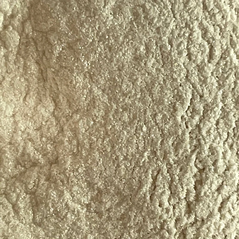 Metallic Pigment Powder Set by Recollections™