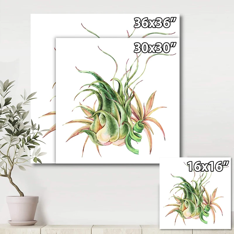 Designart - Tropical Leaves Air Plant Succulent