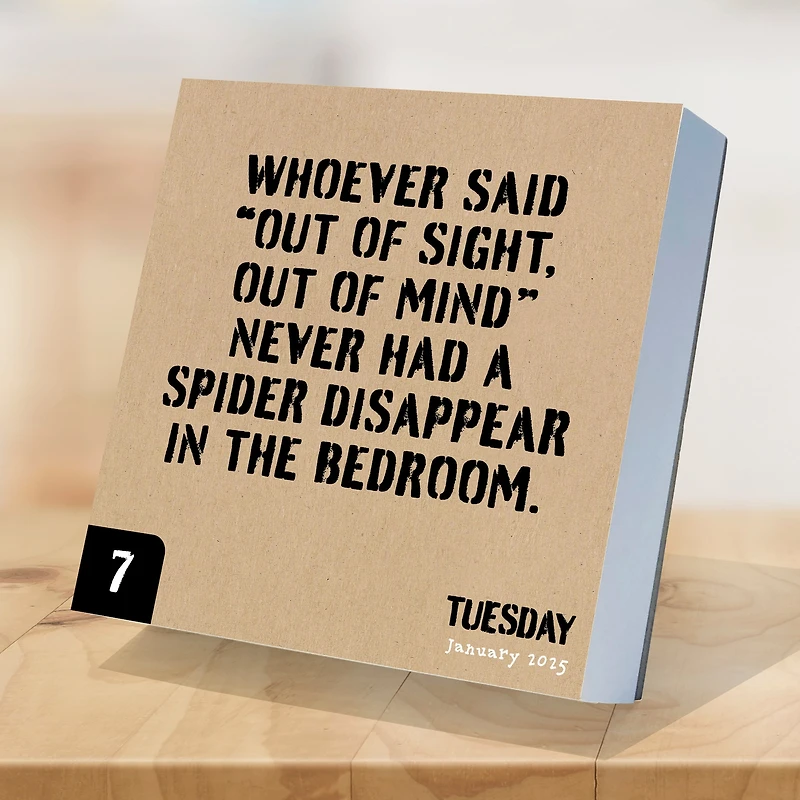 TF Publishing 2025 Anti Affirmations Daily Desktop Calendar