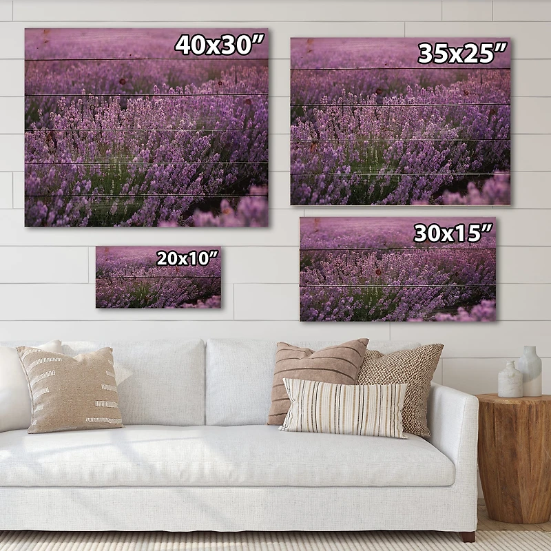 Designart - Blooming Purple Lavender Field
