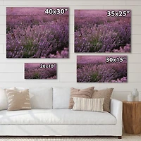 Designart - Blooming Purple Lavender Field