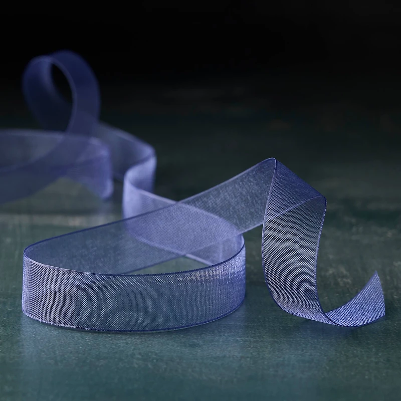 5/8" x 7yd. Sheer Organza Ribbon by Celebrate It® Classic