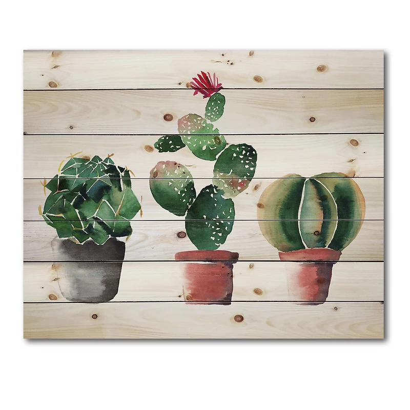 Designart - Three Cactus In Clay Pots