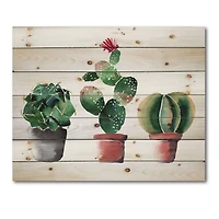 Designart - Three Cactus In Clay Pots
