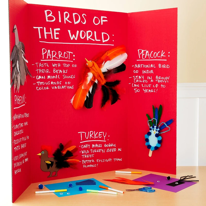 36" x 48" Corrugated Tri-Fold Display Board