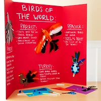 36" x 48" Corrugated Tri-Fold Display Board