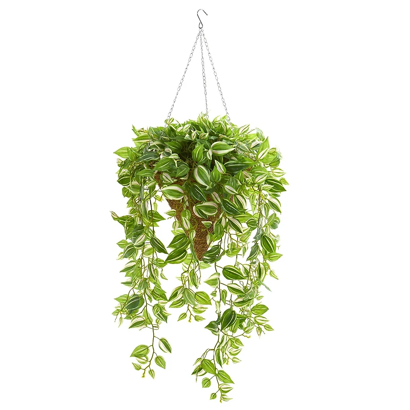 4ft. Purple Heart Evergreen Plant in Hanging Basket