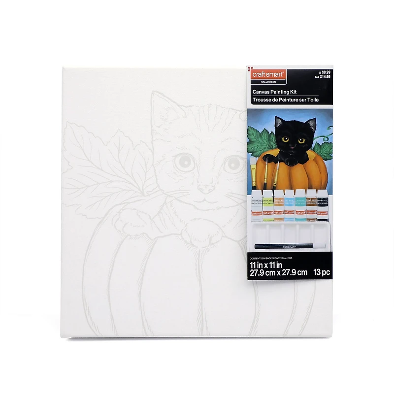 11" x 11" Kitten in Pumpkin Canvas Painting Kit by Craft Smart®