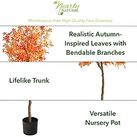 5ft. Potted Orange Autumn Maple Tree