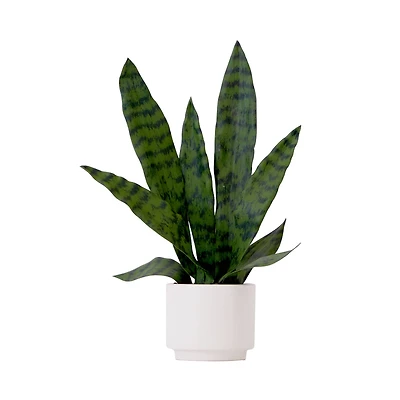 16" Artificial Sansevieria Snake Plant with Decorative Planter 