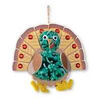 Turkey Pom Pom Craft Kit by Creatology™
