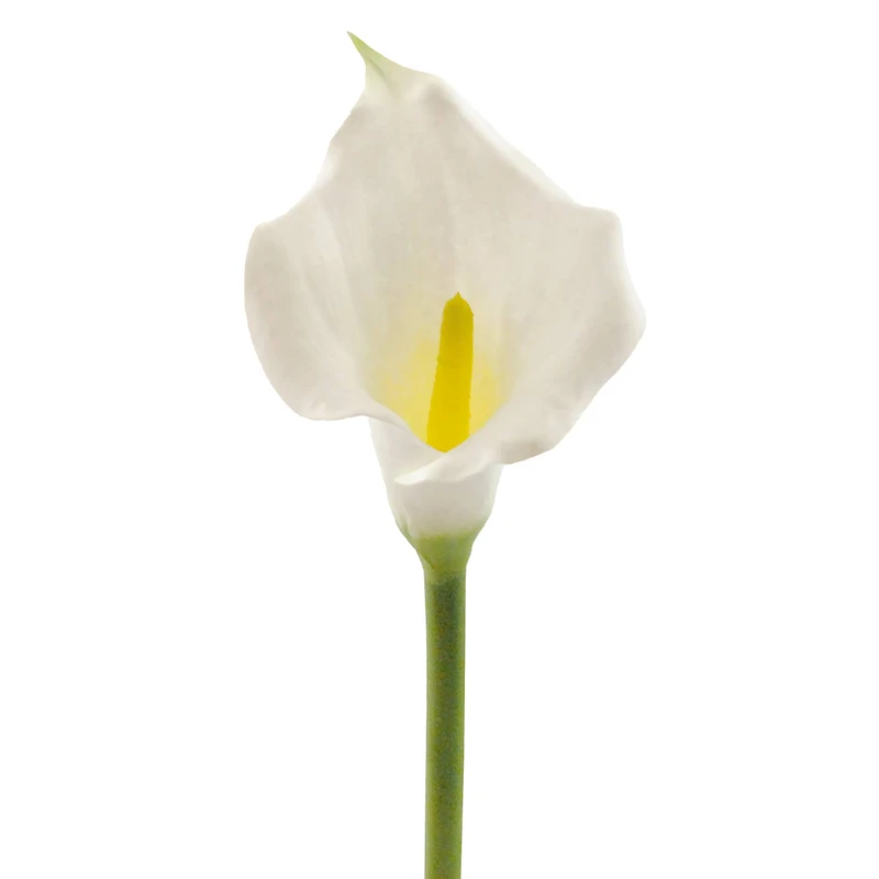 DII® White Flower Cala Lily Set, 3ct.
