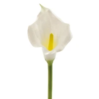 DII® White Flower Cala Lily Set, 3ct.
