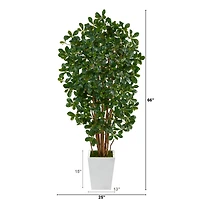 5.5ft. Black Olive Artificial Tree with 1365 Bendable Leaves in Metal White Planter