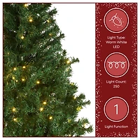 6ft. Pre-Lit Feel Real® Linden Spruce Artificial Christmas Tree, Warm White LED Lights