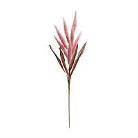 35.5" Dark Pink Foxtail Plume Stems, 2ct.