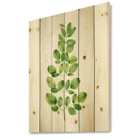 Designart - Moringa Branch Tropical Tree Foliage