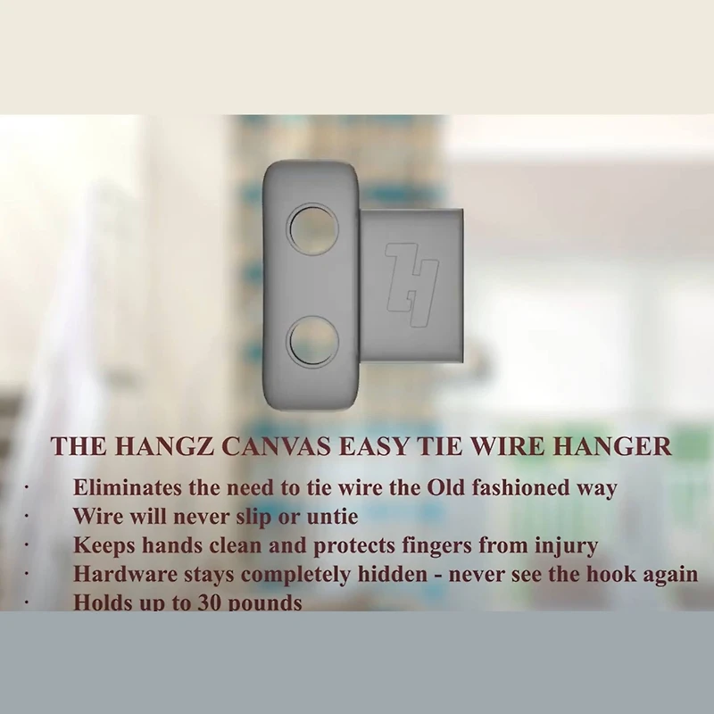 HangZ™ 30lb. Easy Tie 2 Hole D Ring Kit