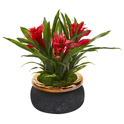 11" Red Bromeliad in Stoneware Planter