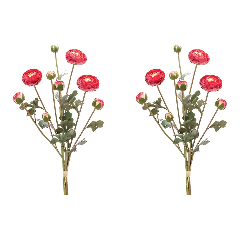 Red Ranunculus Bundle, 2ct.