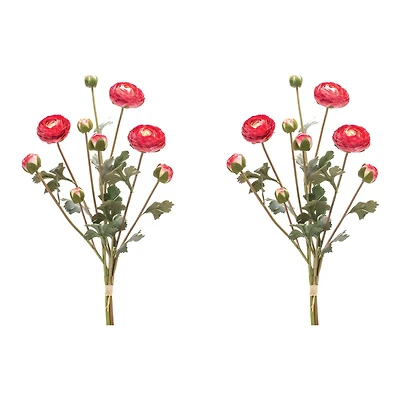 Red Ranunculus Bundle, 2ct.