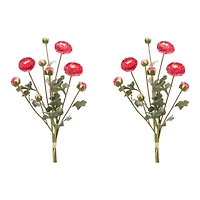Red Ranunculus Bundle, 2ct.