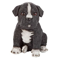 Design Toscano 6" Border Collie Puppy Partner Collectible Dog Statue