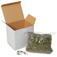 1,000ct. Clear Replacement Bulbs