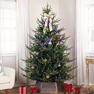 7ft. Pre-Lit Real Touch™ Elite Glenmora Pine IPT Artificial Christmas Tree, Dual Color LED Lights