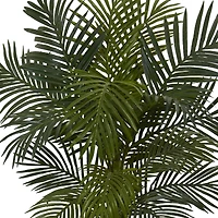 5ft. Potted Golden Cane Palm Tree in Decorative Planter