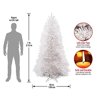 7ft. Unlit Dunhill® White Fir Artificial Christmas Tree