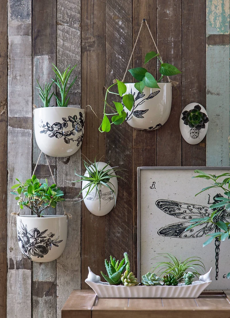 Hello Honey® 15.5" Long White Ceramic Cracker Dish with Two Birds