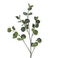 39" Snowy Eucalyptus Stem by Ashland®