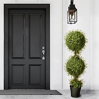 4ft. Mini Tea Leaf Two-Ball Topiary