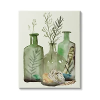 Stupell Industries Fern Plants Nautical Seashells Green Jug Still Life Canvas Wall Art