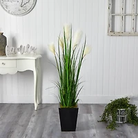4.5ft. Wheat Plume Grass Plant in Black Metal Planter