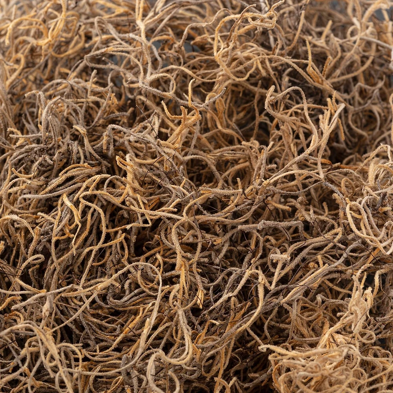 16 Pack: Natural Spanish Moss by Ashland®