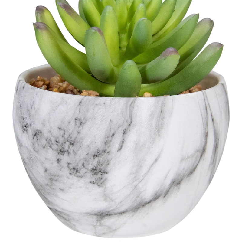 4.25" Green Succulent in Faux Marble Pot