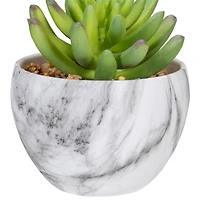 4.25" Green Succulent in Faux Marble Pot