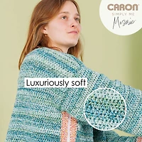 2 Pack Caron® Simply Me Mosaic™ Yarn